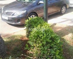 Toyota Corolla Occasion 2011 Diesel 145000Km Fquih Ben Saleh #37397 plein