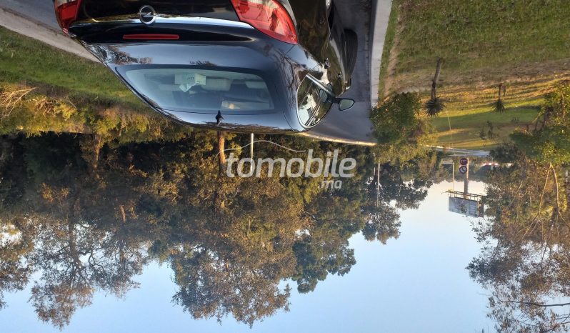 Opel Insignia Occasion 2010 Diesel 120000Km Salé #82699 plein