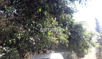 Volkswagen Caddy Importé Occasion 2017 Diesel 119000Km Tanger #93022 plein